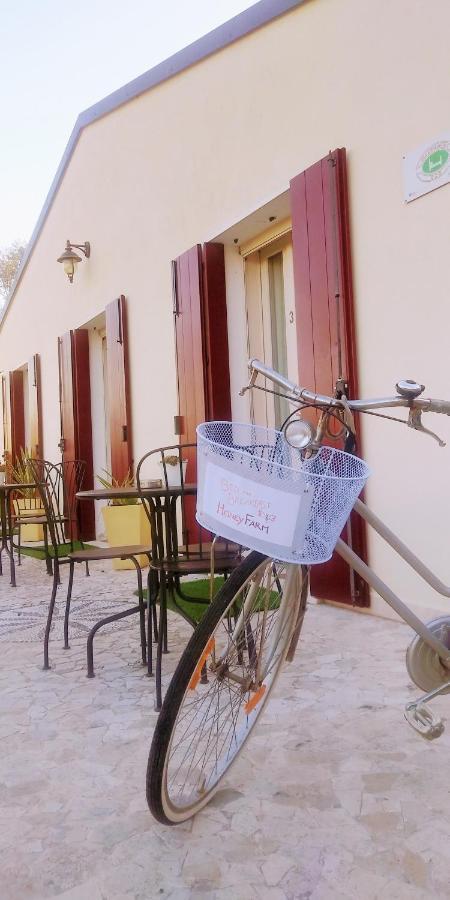 Agriturismo Honey Farm ピアッツォーラ・スル・ブレンタ エクステリア 写真