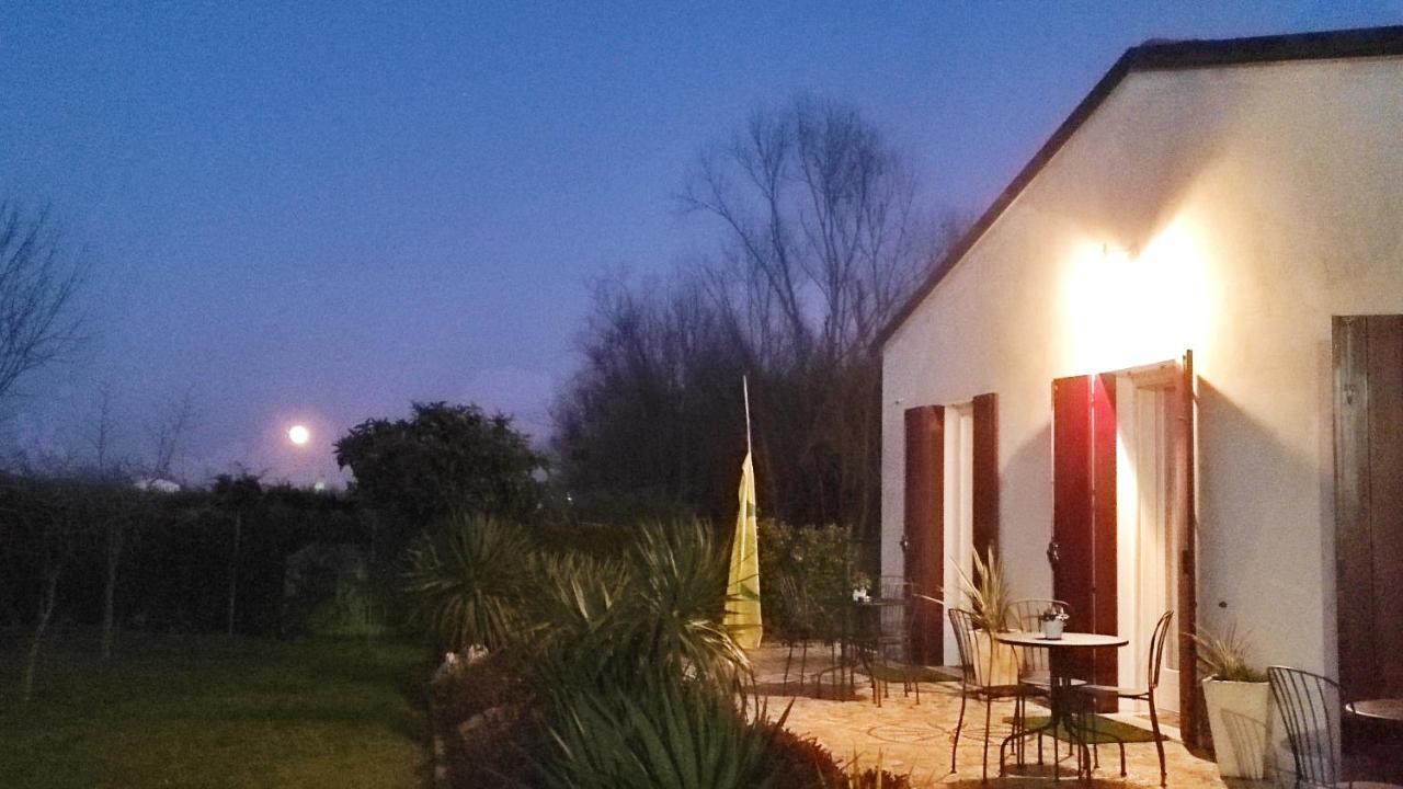 Agriturismo Honey Farm ピアッツォーラ・スル・ブレンタ エクステリア 写真