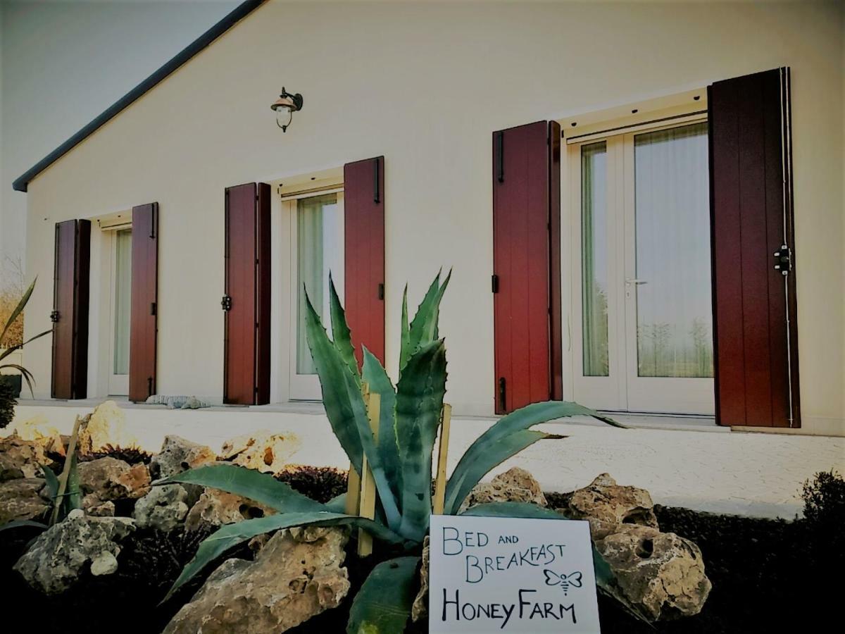 Agriturismo Honey Farm ピアッツォーラ・スル・ブレンタ エクステリア 写真